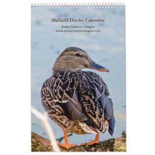 Wilde Eenden 2026 Kalender