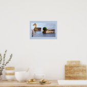 Wilde Eenden Foto Poster (Keuken)