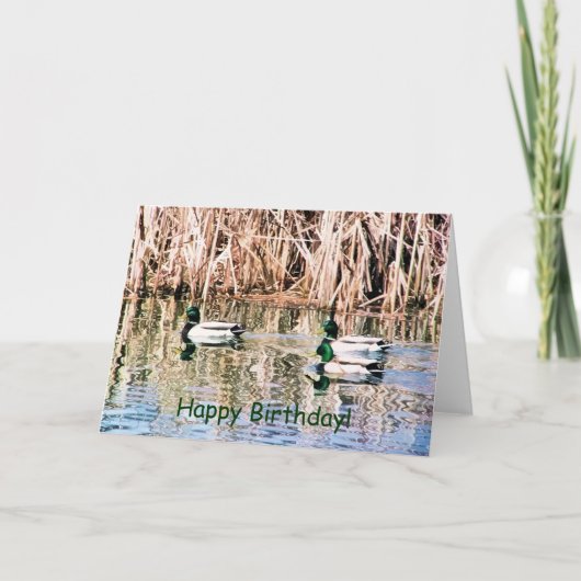 WILDE EENDEN KAART (Voorkant)