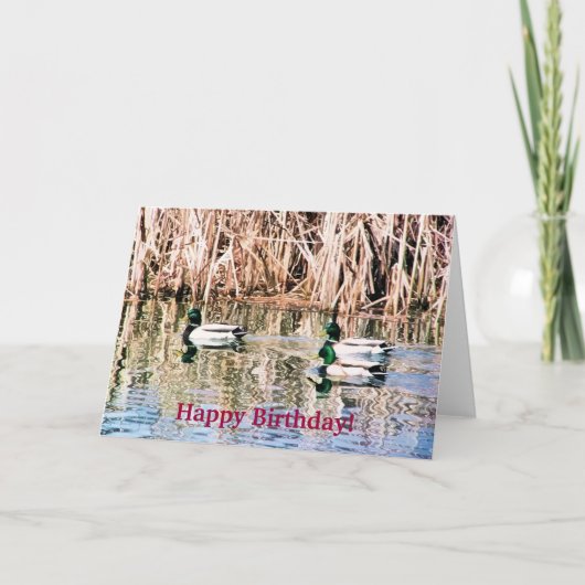 WILDE EENDEN KAART (Voorkant)