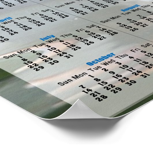 Wilde eenden kalender 2013 poster (Hoek)