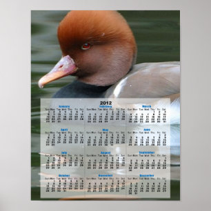 Wilde eenden kalender 2013 poster