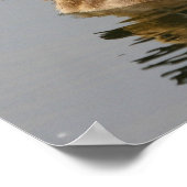 Wilde eenden poster (Hoek)