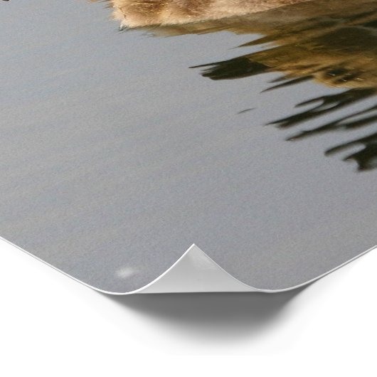 Wilde eenden poster (Hoek)