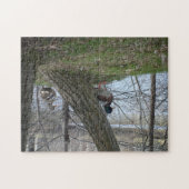 wilde eendenpaar legpuzzel (Horizontaal)