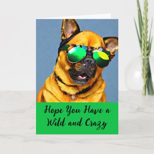 Wilde en Crazy Saint Patrick's Day Dog Sunbril Feestdagen Kaart (Voorkant)
