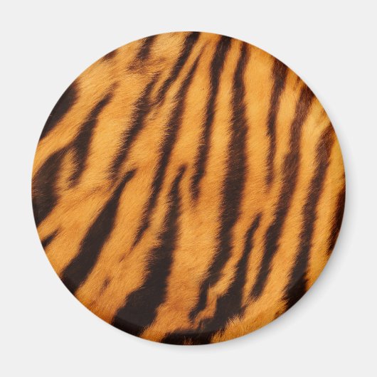 Wilde en Levendige Oranje tijgerstrepen Magneet (Voorkant)