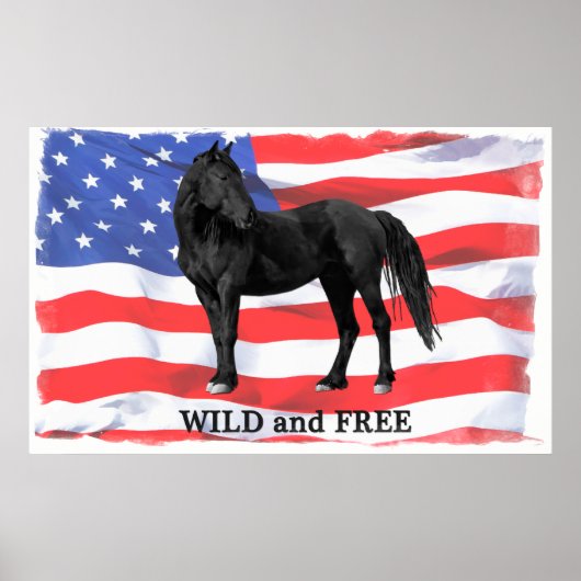 Wilde en vrij Amerikaanse wilde paarden Poster (Voorkant)