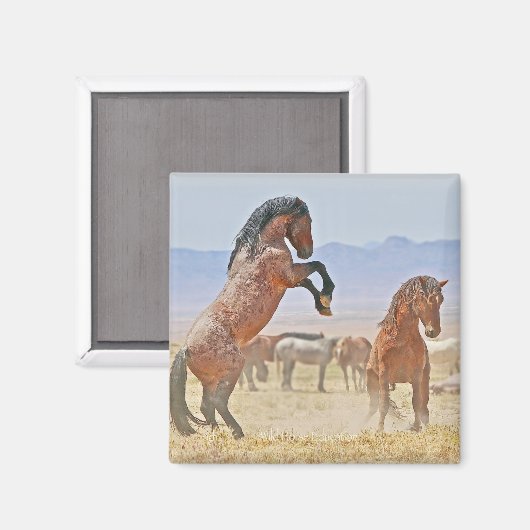 Wilde en vrije magneet (Voorkant / Achterkant)