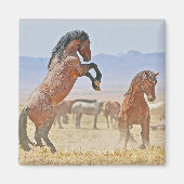 Wilde en vrije magneet (Voorkant)