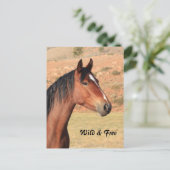 Wilde en vrije Mustang Briefkaart (Staand voorkant)