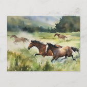 Wilde en vrije paarden Briefkaart (Voorkant)