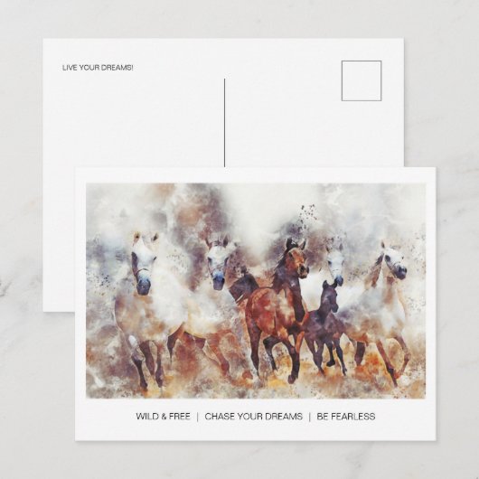 Wilde en vrije paarden briefkaart (Voorkant / Achterkant)