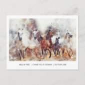 Wilde en vrije paarden briefkaart (Voorkant)
