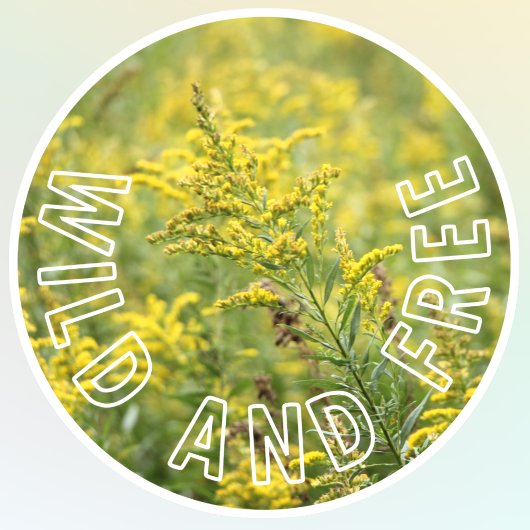 Wilde en Vrije Wildbloemen Zelfvertrouwen Raamsticker