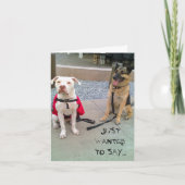 WILDE ENKEL… BEDANKKAART (Voorkant)