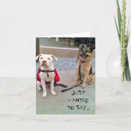 WILDE ENKEL… BEDANKKAART (Voorkant)