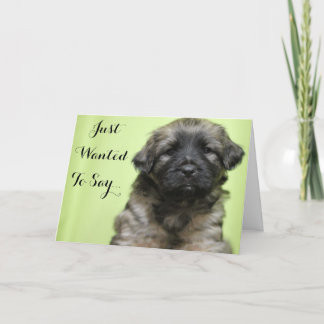 Wilde enkel zeggen de Kaart van het Puppy dank u