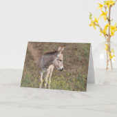 Wilde ezels begroeten kaart (Gele Bloem)