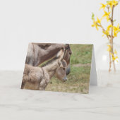 Wilde ezels begroeten kaart (Gele Bloem)