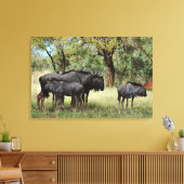 Wilde familie in Zuid-Afrika Canvas Afdruk (Insitu (Woonkamer))