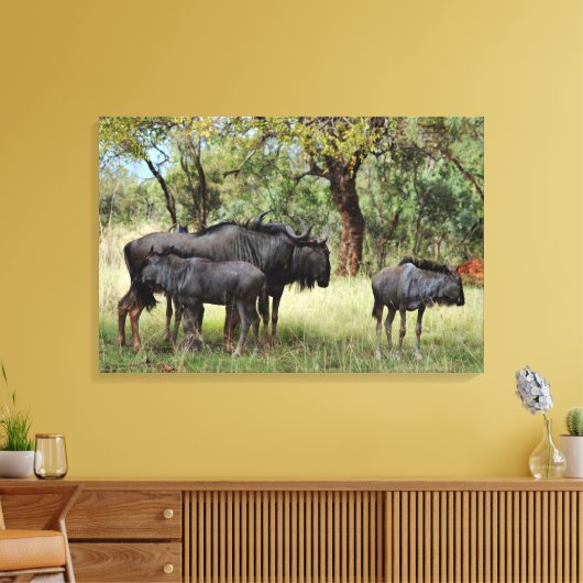 Wilde familie in Zuid-Afrika Canvas Afdruk (Insitu (Woonkamer))