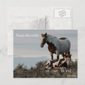 Wilde Familie, van tevoren gericht: Sec of the Int Briefkaart (Voorkant / Achterkant)