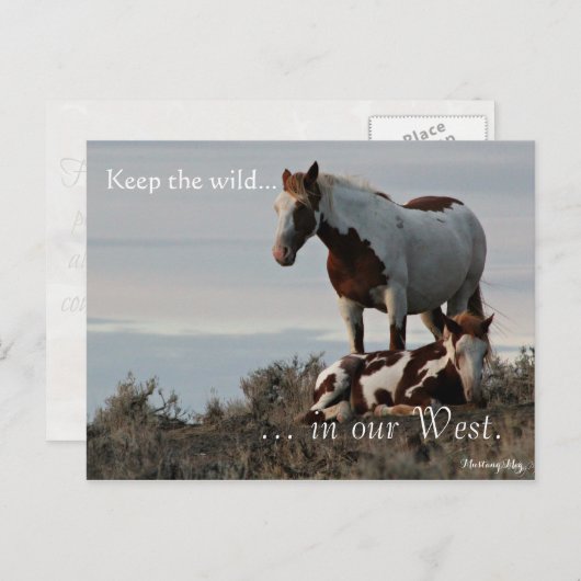 Wilde Familie, van tevoren gericht: Sec of the Int Briefkaart (Voorkant / Achterkant)