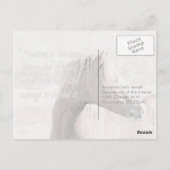 Wilde Familie, van tevoren gericht: Sec of the Int Briefkaart (Achterkant)