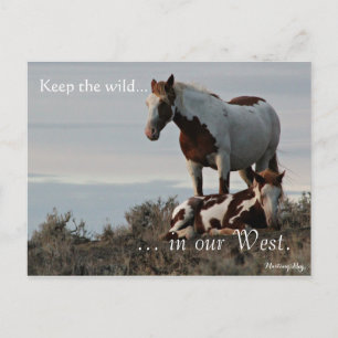 Wilde Familie, van tevoren gericht: Sec of the Int Briefkaart