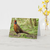 Wilde Fazant Kaart (Gele Bloem)