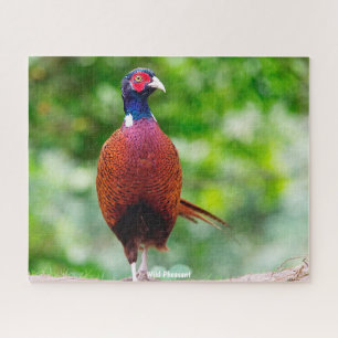 Wilde Fazant Legpuzzel