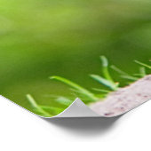 Wilde fazanten poster (Hoek)