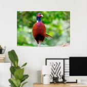 Wilde fazanten poster (Thuiskantoor)