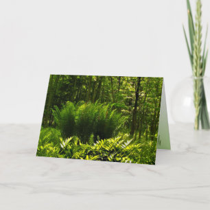 Wilde Fern Abstracte Kaart