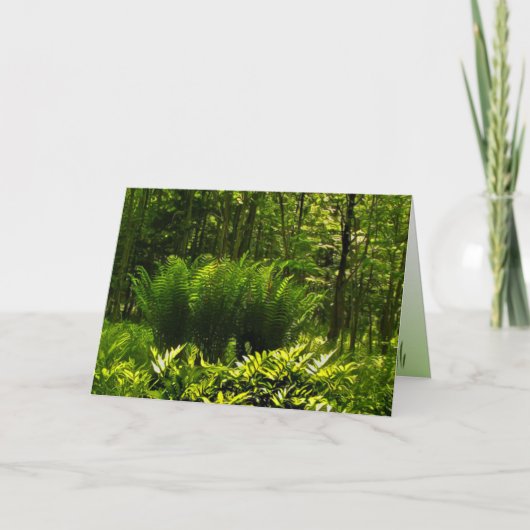 Wilde Fern Abstracte Kaart (Voorkant)