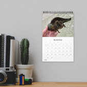 Wilde Florida Zeeslakken Heremietkreeften Aangepas Kalender