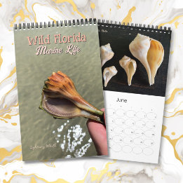 Wilde Florida Zeeslakken Heremietkreeften Aangepas Kalender