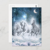 Wilde flurry briefkaart (Voorkant / Achterkant)