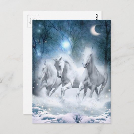 Wilde flurry briefkaart (Voorkant / Achterkant)