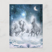 Wilde flurry briefkaart (Voorkant)