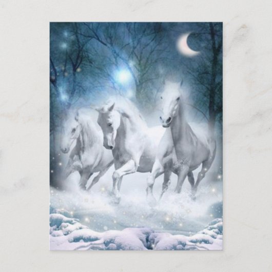 Wilde flurry briefkaart (Voorkant)