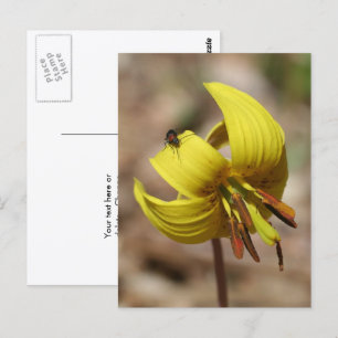 Wilde forel lelie bloem en vriend gepersonaliseerd briefkaart