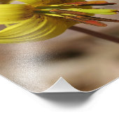 Wilde forel lelie bloem en vuurvliegvriend 8x10 foto afdruk (Hoek)