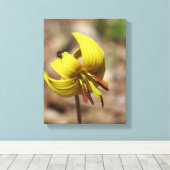 Wilde forel Lily Bloem en Firefly Vriend Canvas Afdruk (Insitu (Houten vloer))