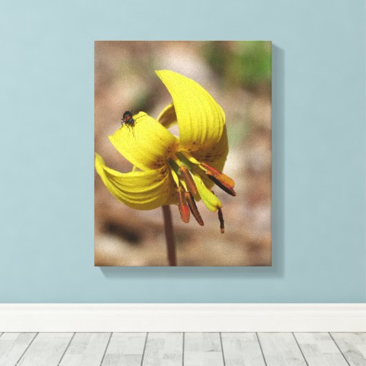 Wilde forel Lily Bloem en Firefly Vriend Canvas Afdruk (Insitu (Houten vloer))