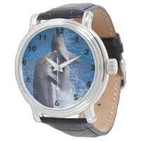 Wilde fotografie-Dolfijnen