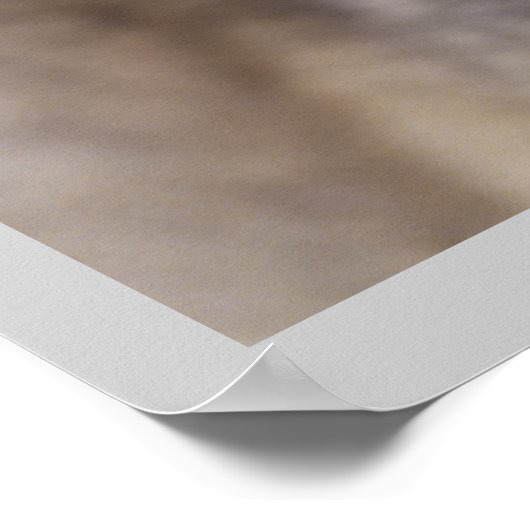 Wilde fotografie Gray Wolf Poster 18x24 (Hoek)