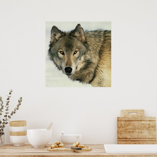 Wilde fotografie Gray Wolf Poster 24x24 (Keuken)
