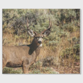 WILDE FOTOGRAFIE VAN DE BROWN BUCK CADEAUPAPIER (Vlak)